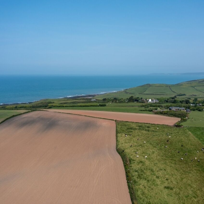 Abbotsham, Bideford, Devon, EX39. For sale with Clarke & Partners estate agent.